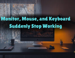 Monitor, Mouse, and Keyboard Suddenly Stop Working